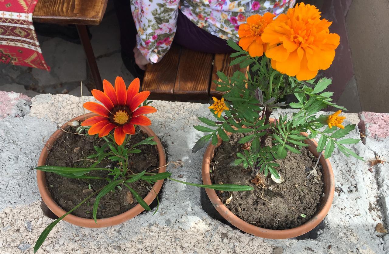 Three Jugs B&B Jrvezh 외부 사진
